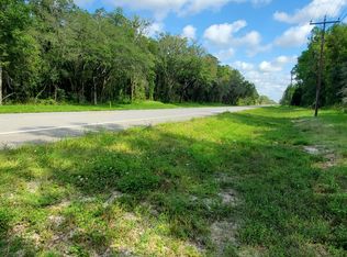 7247 Treiman Blvd, Webster, FL 33597