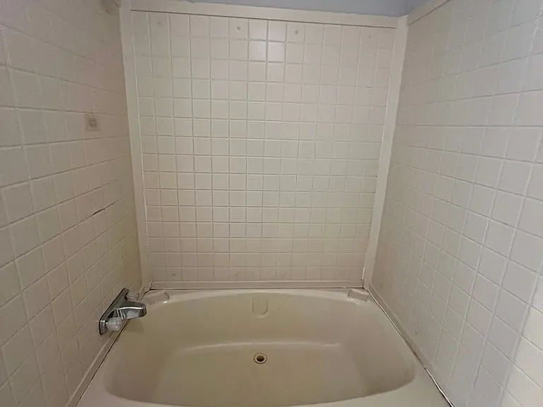 253 Chicken Ln — Photo 30