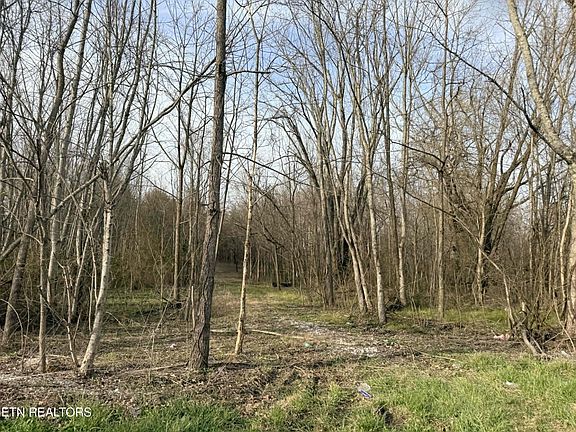 5th image of 1115 Frank Campbell Rd