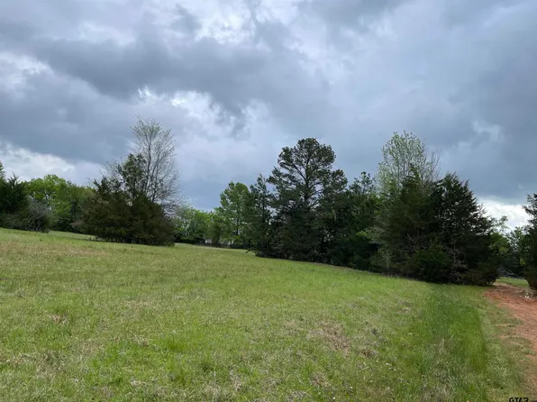 19 Hunters Hollow Dr, Mount Vernon, TX 75457