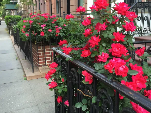 177 Ninth Avenue 4G image 23 of 24