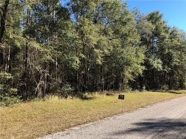 8741 N Quarry Dr, Citrus Springs, FL 34434