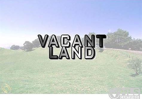 1Vacant Land.JPG