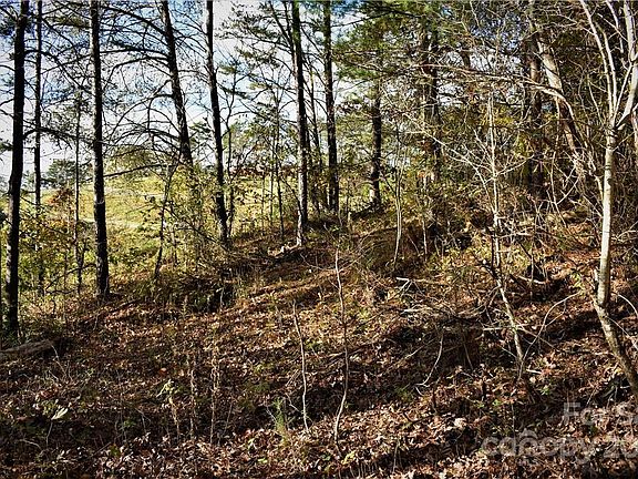 4th image of LOT 3/4 Big Rocky Top Dr