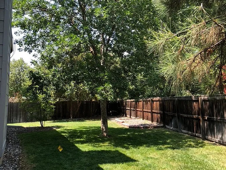3969 Hilary Ct — Photo 36