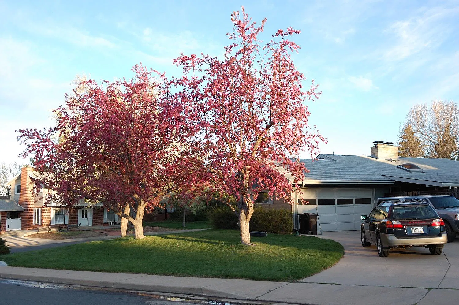 3 bed, 2.5 bath, 2544 sqft, $2,950 — Photo 1