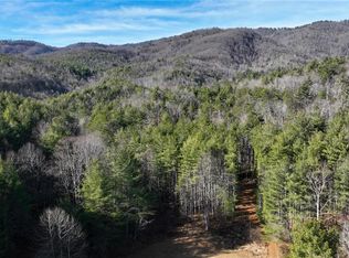 Tbd Big Ivy Rd, Purlear, NC 28665