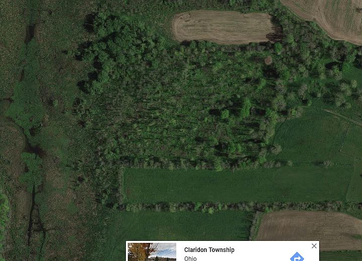 2nd image of 12274 Taylor Wells Rd