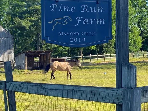 2019 Diamond St, Sellersville, PA 18960