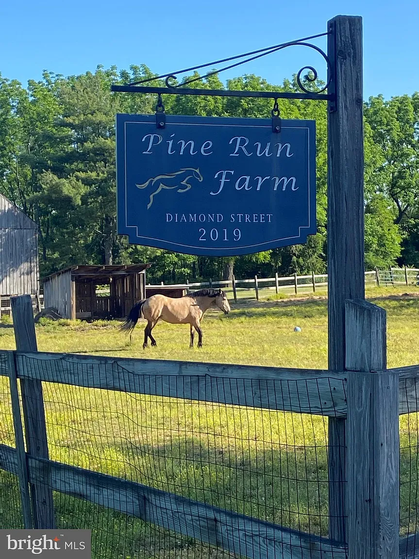 2019 Diamond St photo 1