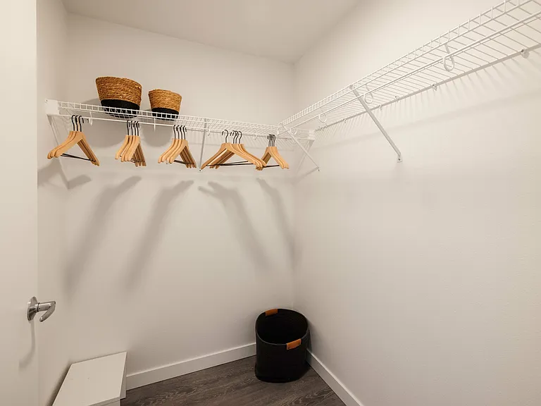 Expansive closets with shelving