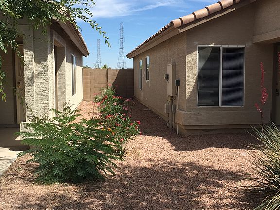 North side yard