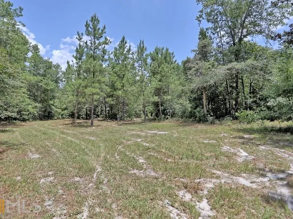 0 Buck Road, Vidalia, GA 30474