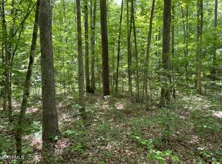 Flat Top View Ln, Wilder, TN 38589