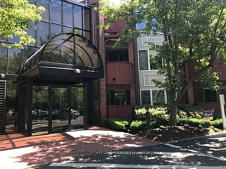 101 Rosemary St #223 — Photo 4