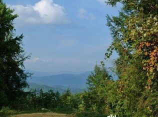 1008 Locust Ln, Butler, TN 37640