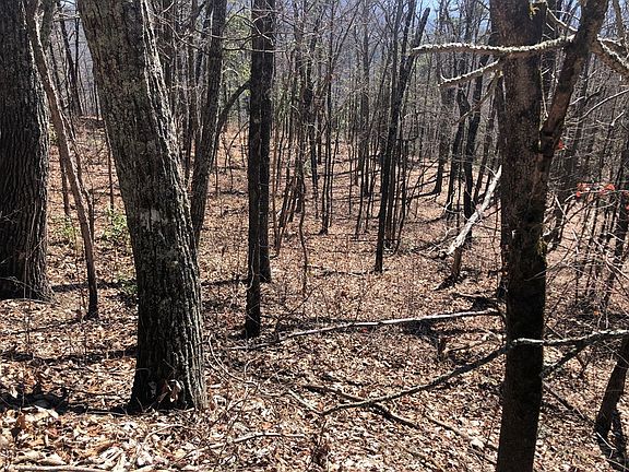 3rd image of LOT 13 Alpine Dr