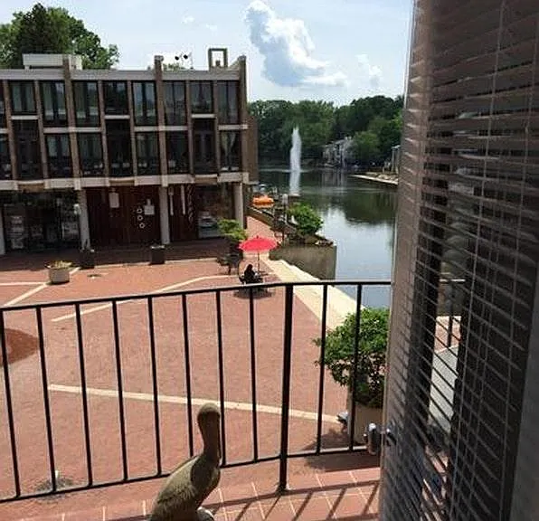 View from family room on Lake Anna