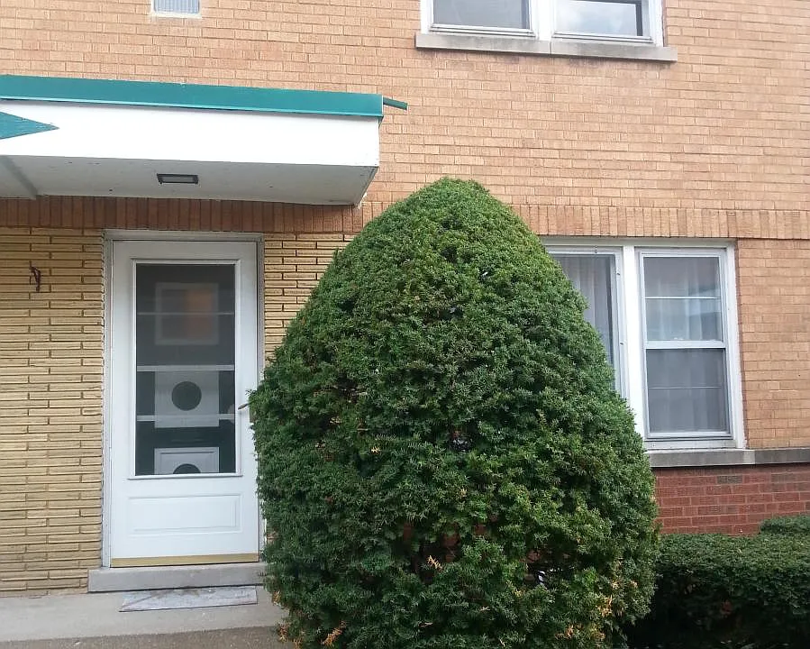 229 S Maple Ave #B