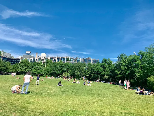 Rented by Corcoran | media 18