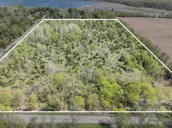 PARCEL 2 Roepke Rd, Gregory, MI 48137