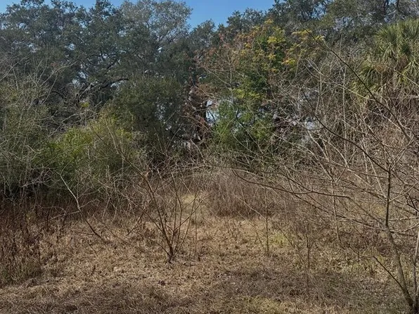 16644 SE 134th Ter Lot 3, Weirsdale, FL 32195