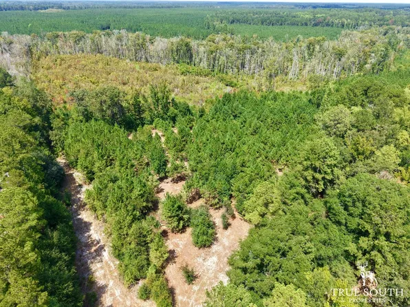 Rivers Hill Rd, Varnville, SC 29944