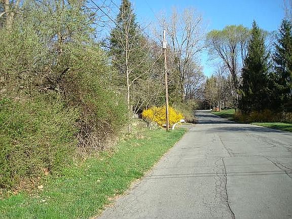 2nd image of Corner Of Campbell Ave. And N. Taylor Pl