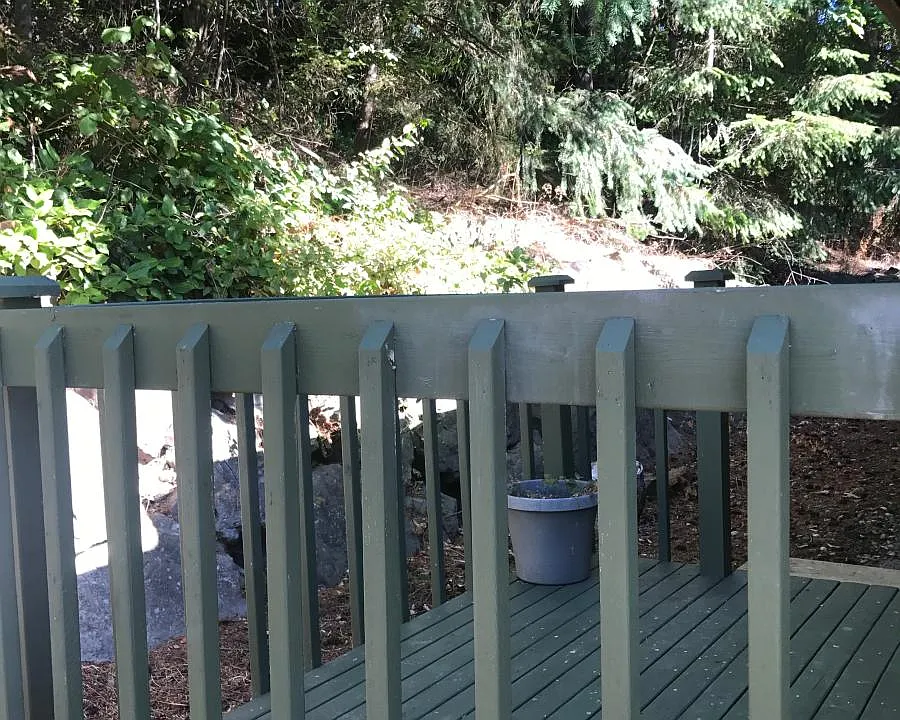 Back deck