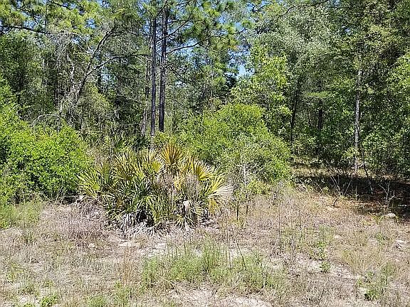 4th image of 6038 W Shady Hollow Ct