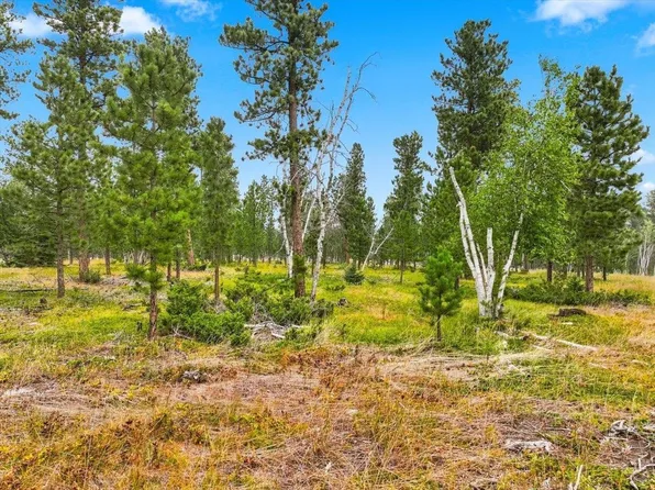 LOT 8 Block 4 Other, Lead, SD 57754