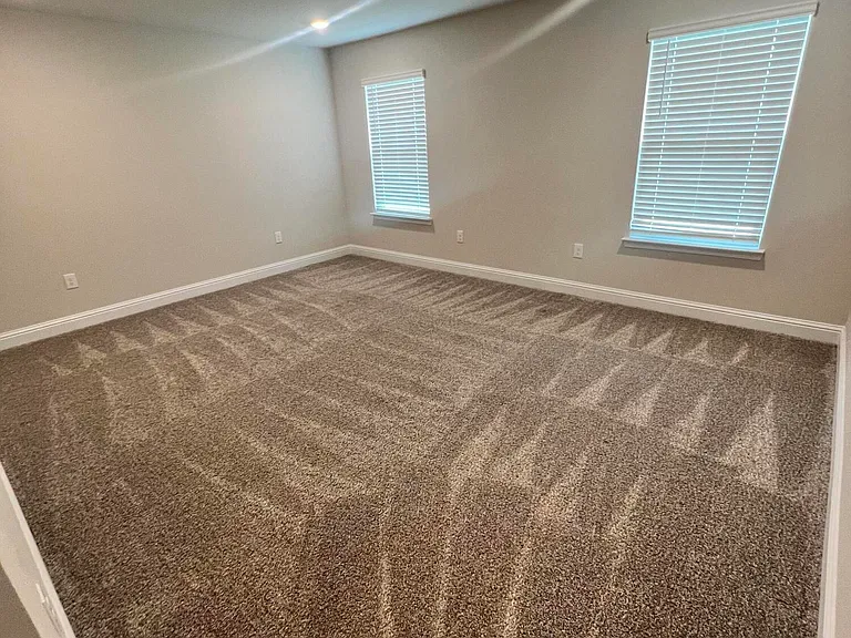 18186 Southern Magnolia Cv — Photo 19