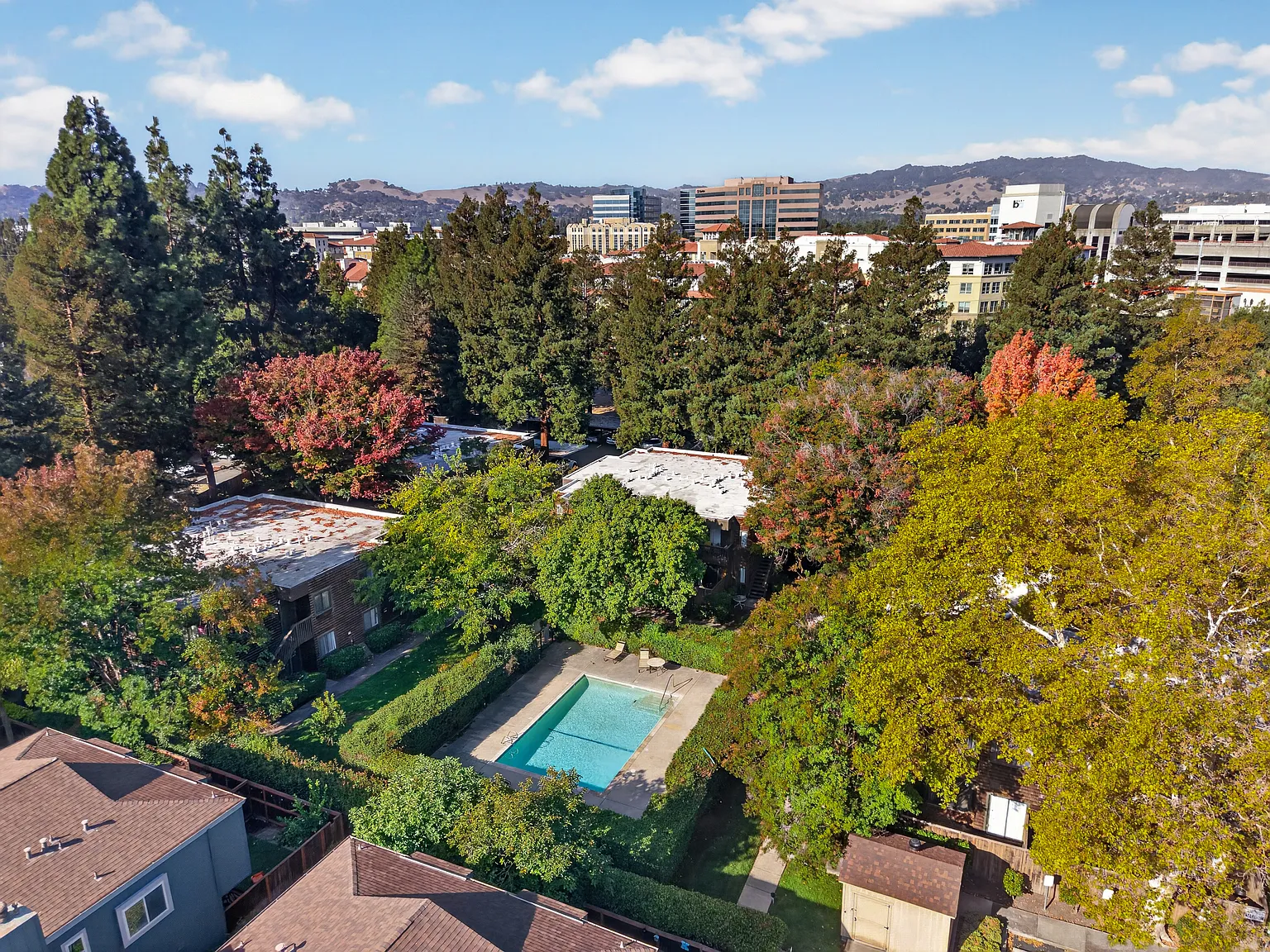 Updated, Conveniently Located 1bd/1ba Walnut Creek Condo — Photo 4