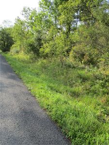 (Undisclosed Address), Greene, NY, 13778