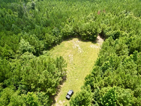 0 Nixon Rd, Georgiana, AL 36033