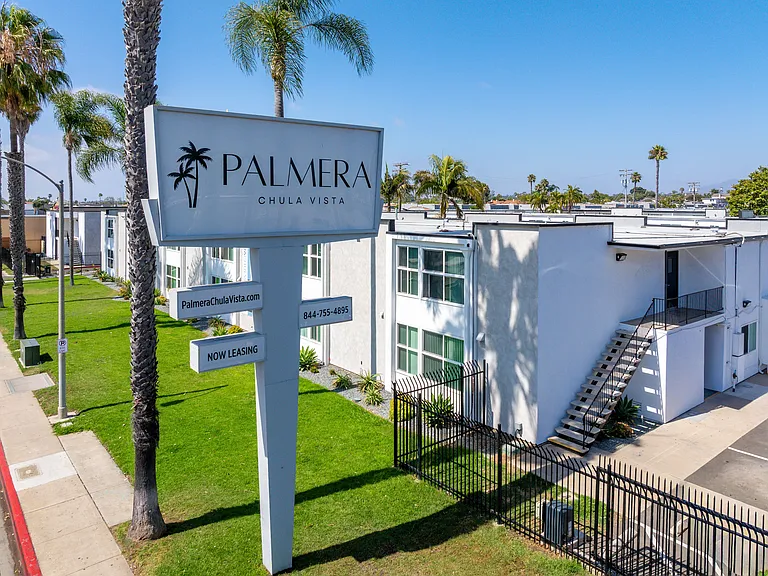 Palmera — Photo 42