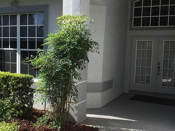 2nd image of 1241 E Langley Ct