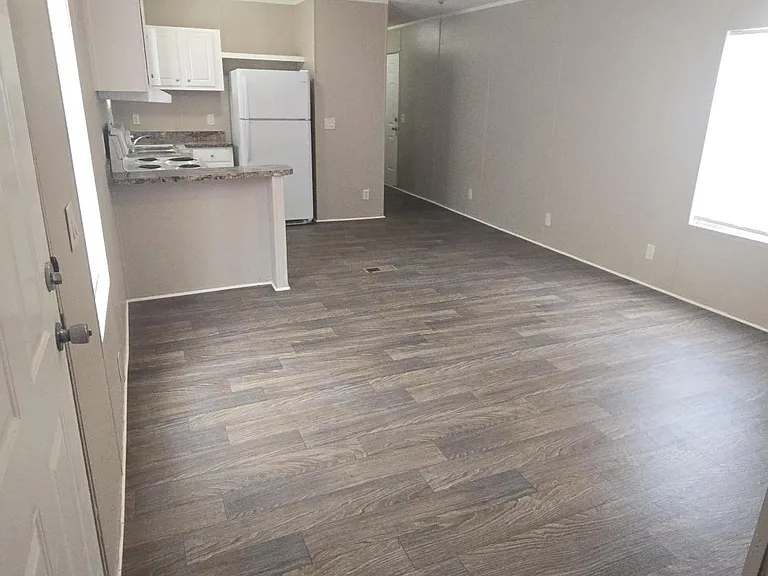 Palmetto Palms — Photo 17