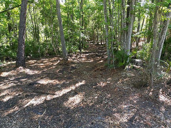 3rd image of 190 County Road 207a E