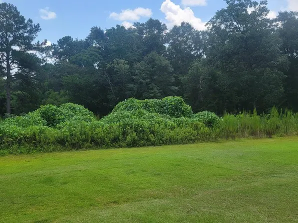 0 Seaborn Dr, Columbia, AL 36319