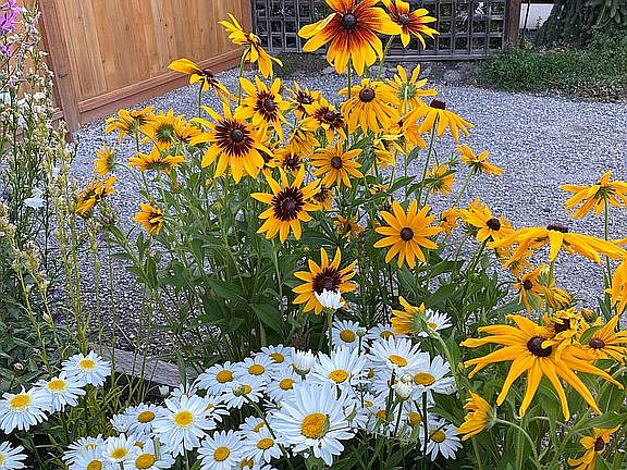 Flowers on front side