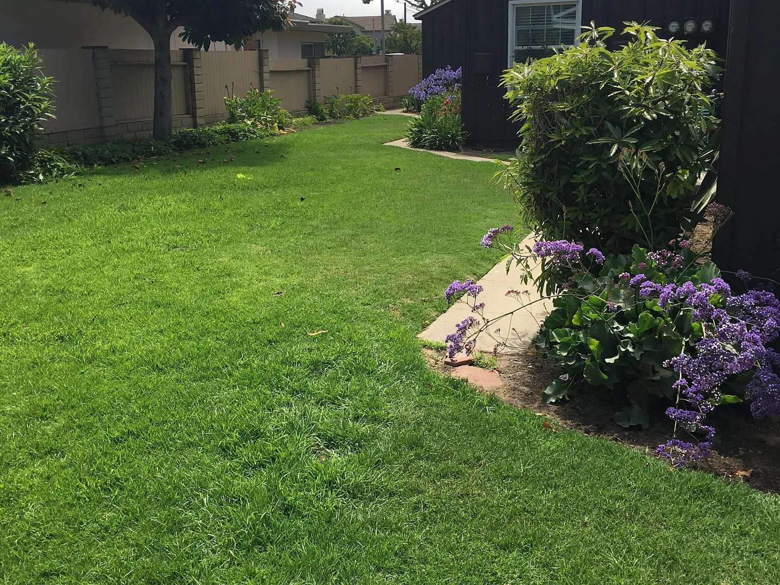 2 bed, 850 sqft, $2,600 — Photo 3