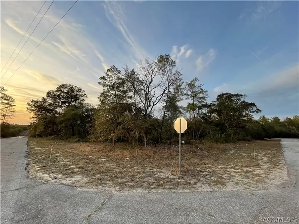 7964 N Gatewood Dr, Citrus Springs, FL 34433