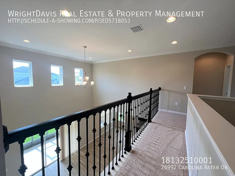 26992 Carolina Aster Dr — Photo 28