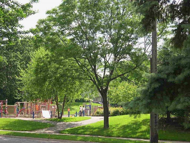 Fuller Park in summer!