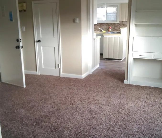 living room with new carpet and paint