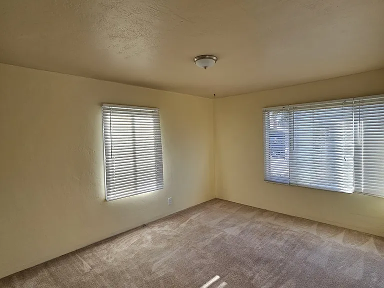 963 Dillo St — Photo 4