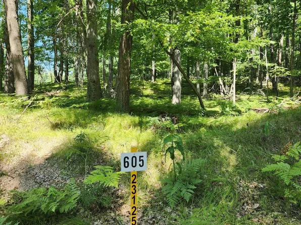 11300 Apache Wells Ct, Stanwood, MI 49346