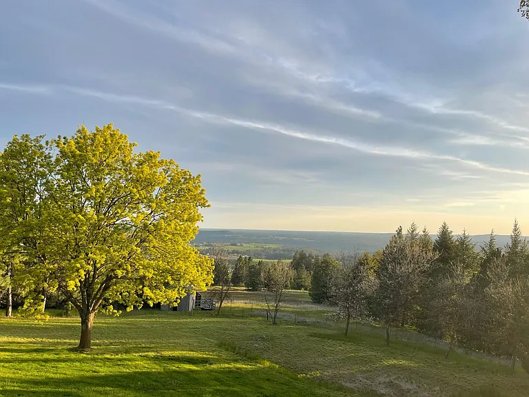 Five Acres