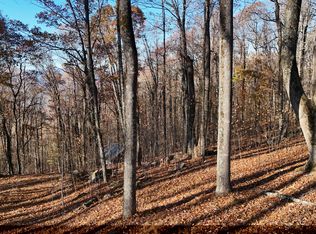 11 Mountainside Ct, Cleveland, GA 30528